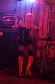 Hard Rockin Porn Stars (32)